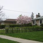 Nu Life Wellness & Skin Health 